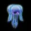 Magic Jelly Pet