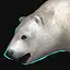 Mt. Eda Polar Bear