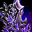 Shadowshard Shield